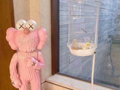 -上海崇明金茂凯悦酒店