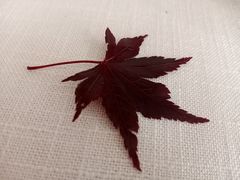 -Mood 慕得.普洛旺斯(日月广场店)