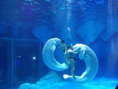 -汉堡王(海昌海洋公园店)