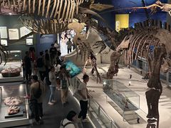 -国家自然博物馆