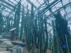-南山植物园