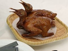 -五谷芳乳鸽王(海景店)