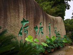 -荷塘月色湿地公园·向阳花洲