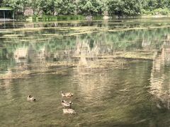 -十渡东湖港风景区