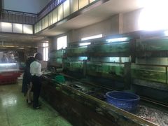 -江东鲈鱼馆(正江东)