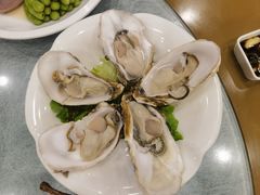 -永記粤菜·五指毛桃花雕鸡煲(九亭店)