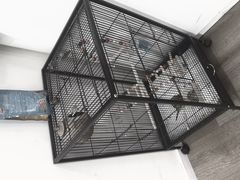 -甲乙果 美术书法(通州校区)