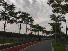 -上海长兴岛郊野公园