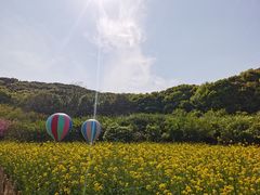 -苏州上方山国家森林公园