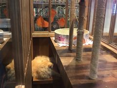 -吉·拾串烧烤专门店(领show天地店)