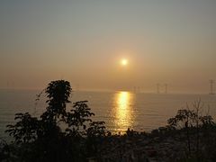 -宝安西湾红树林湿地公园