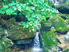 -夏霖九天银瀑风景区