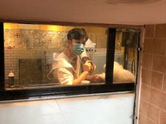 -西元前宠物酒店(郑庄府邸店)