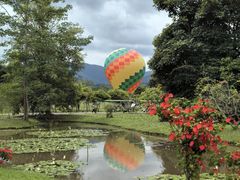 -中国科学院西双版纳热带植物园