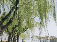 -东钱湖小普陀景区