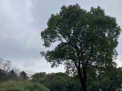 -蜀冈西峰生态公园