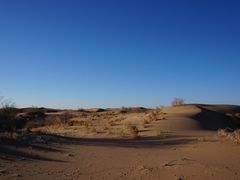 -亿利库布其七星湖沙漠生态旅游区