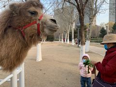 -长白岛森林公园