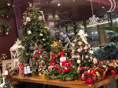 -二酉书店TOYOU BOOKS