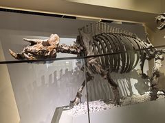 -国家自然博物馆