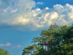 -佛山市三水区大南山森林公园