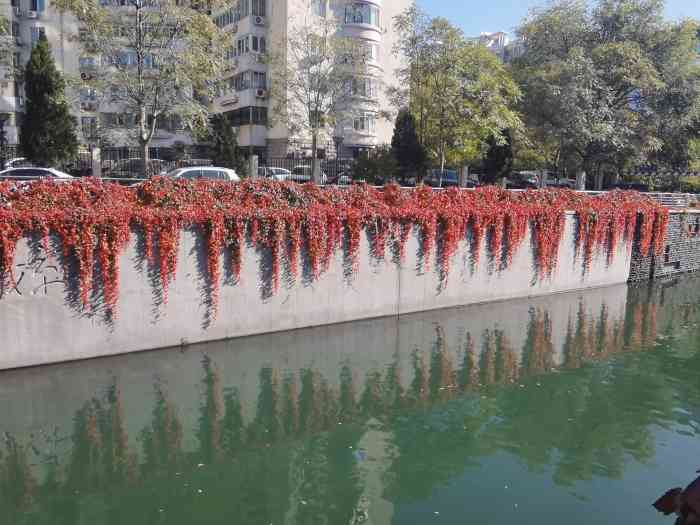 京城水系昆玉河游船长河湾码头-"京城水系昆玉河游船长河湾码头在夏天