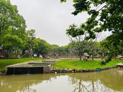 -上海野生动物园