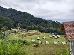 -龙岩森林水乡景区