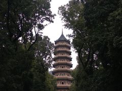 -灵谷景区