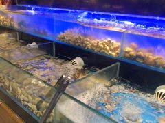 -苏格里岛·自助烤肉·火锅海鲜(金鼎广场店)