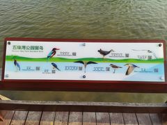 -五缘湾湿地公园