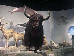 -中国湿地博物馆
