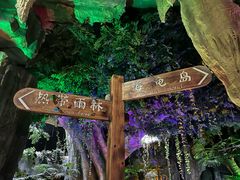 -泉城欧乐堡海洋极地世界