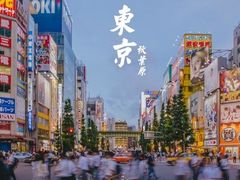 -秋叶原电器街