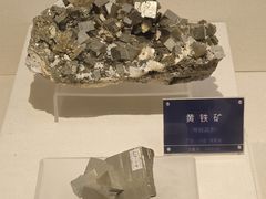 -安徽省地质博物馆