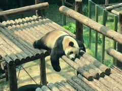 -大连森林动物园