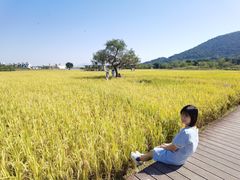 -风云岭森林公园