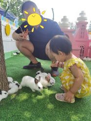 -萌宠亲子动物乐园(槐房万达店)