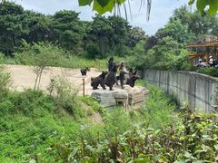 -沈阳森林动物园