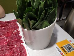 -古乐牛香·鲜牛肉牛杂火锅(吴江三里桥运东商业广场店)