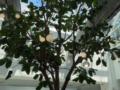 -大树餐厅(红旗街万达店)