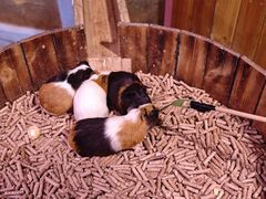 -正佳雨林生态植物园