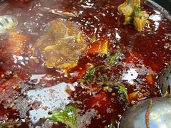 -刘胖娃鱼庄·特色鱼火锅(白鹤路店)