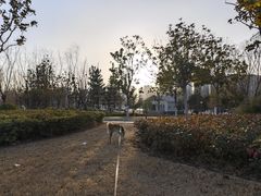 -西吴河科普公园
