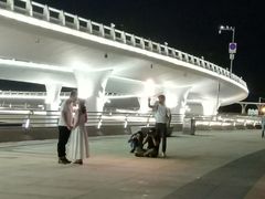 -演武大桥观景平台