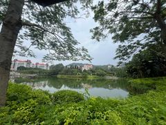 -厦门大学(思明校区)