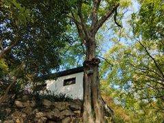 -幕燕滨江·燕子矶公园