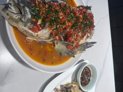 -全乐鱼馆·淳牌有机鱼直营店