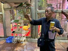 -正佳雨林生态植物园