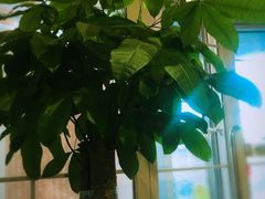 -妈妈的味道(工人体育场东路店)